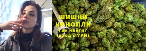 PSILOCYBIN Богородск