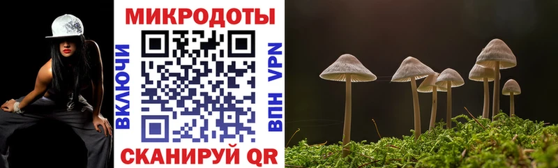 Псилоцибиновые грибы Magic Shrooms  купить   KRAKEN зеркало  Михайловка 